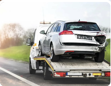 CheckAssist Operasyon